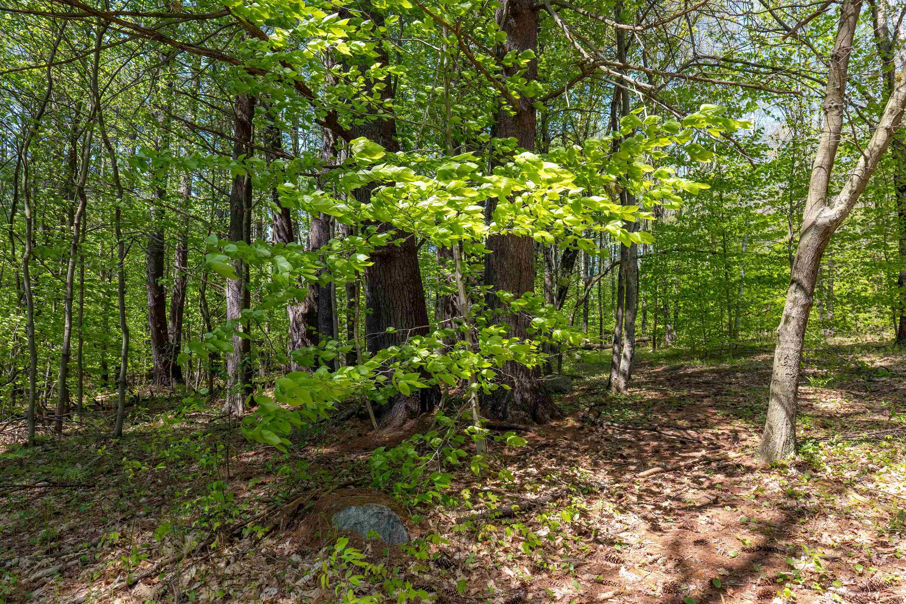 Rowell Drive Franklin, NH 03235 - Photo 22 of 26