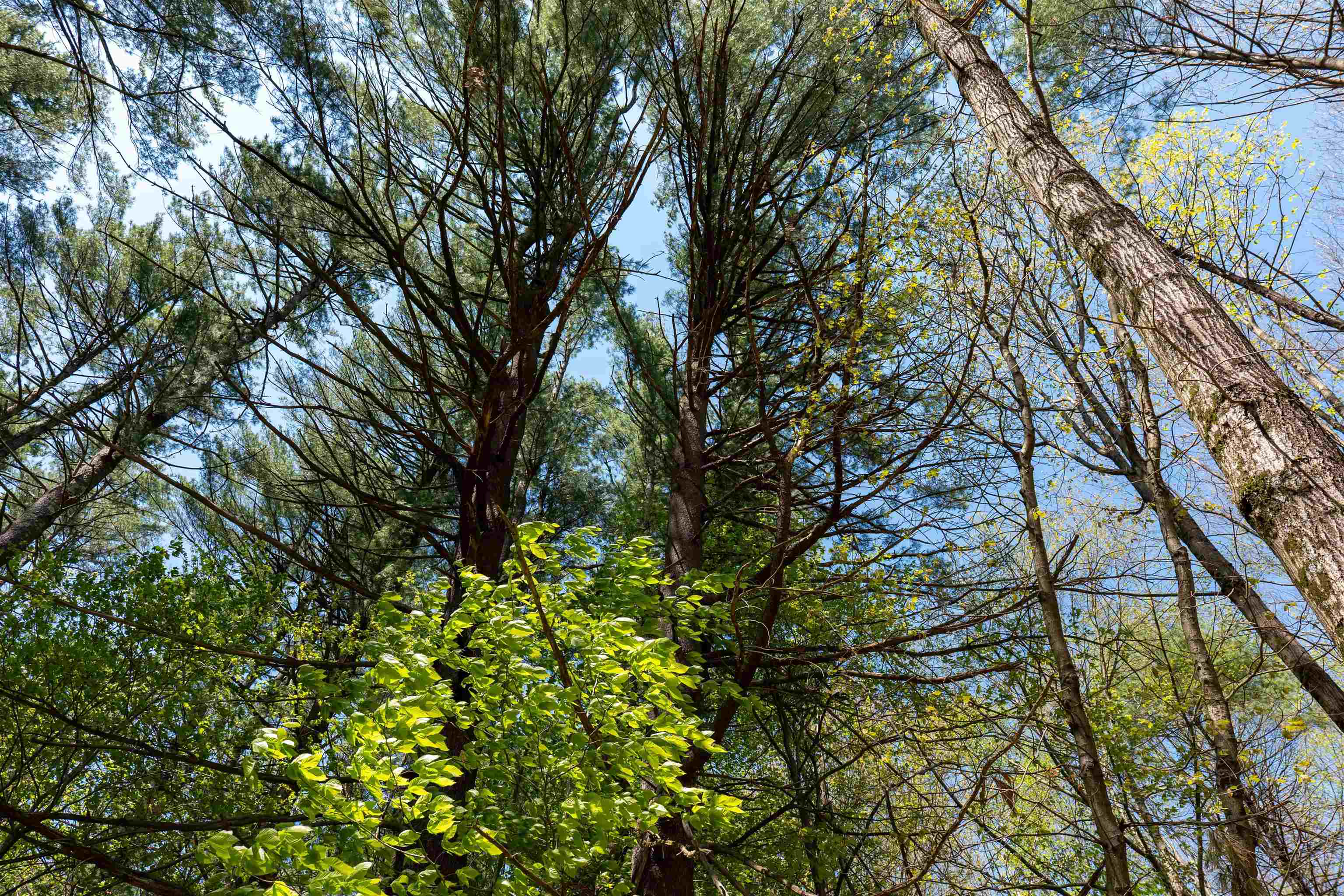 Rowell Drive Franklin, NH 03235 - Photo 23 of 26