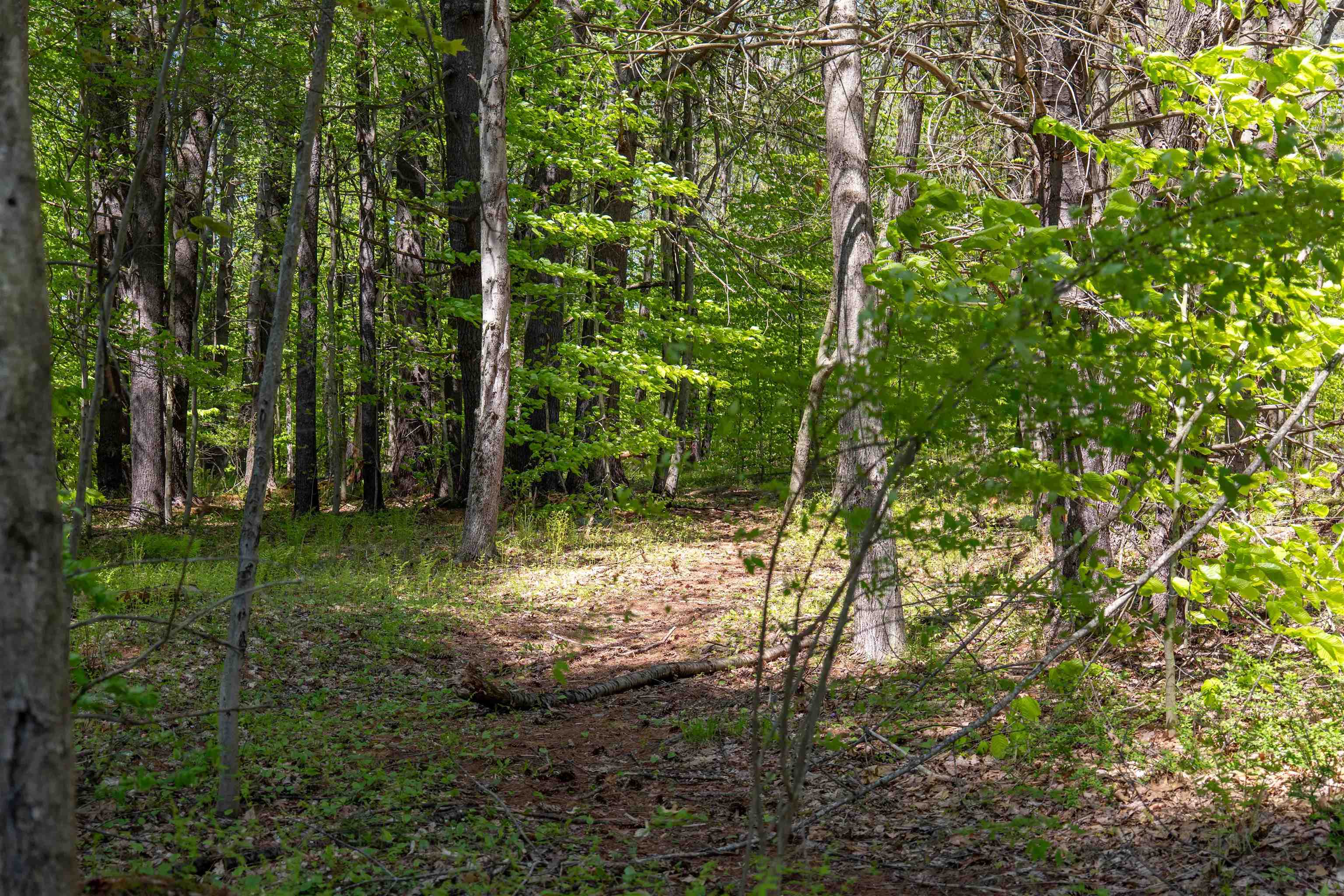 Rowell Drive Franklin, NH 03235 - Photo 4 of 26