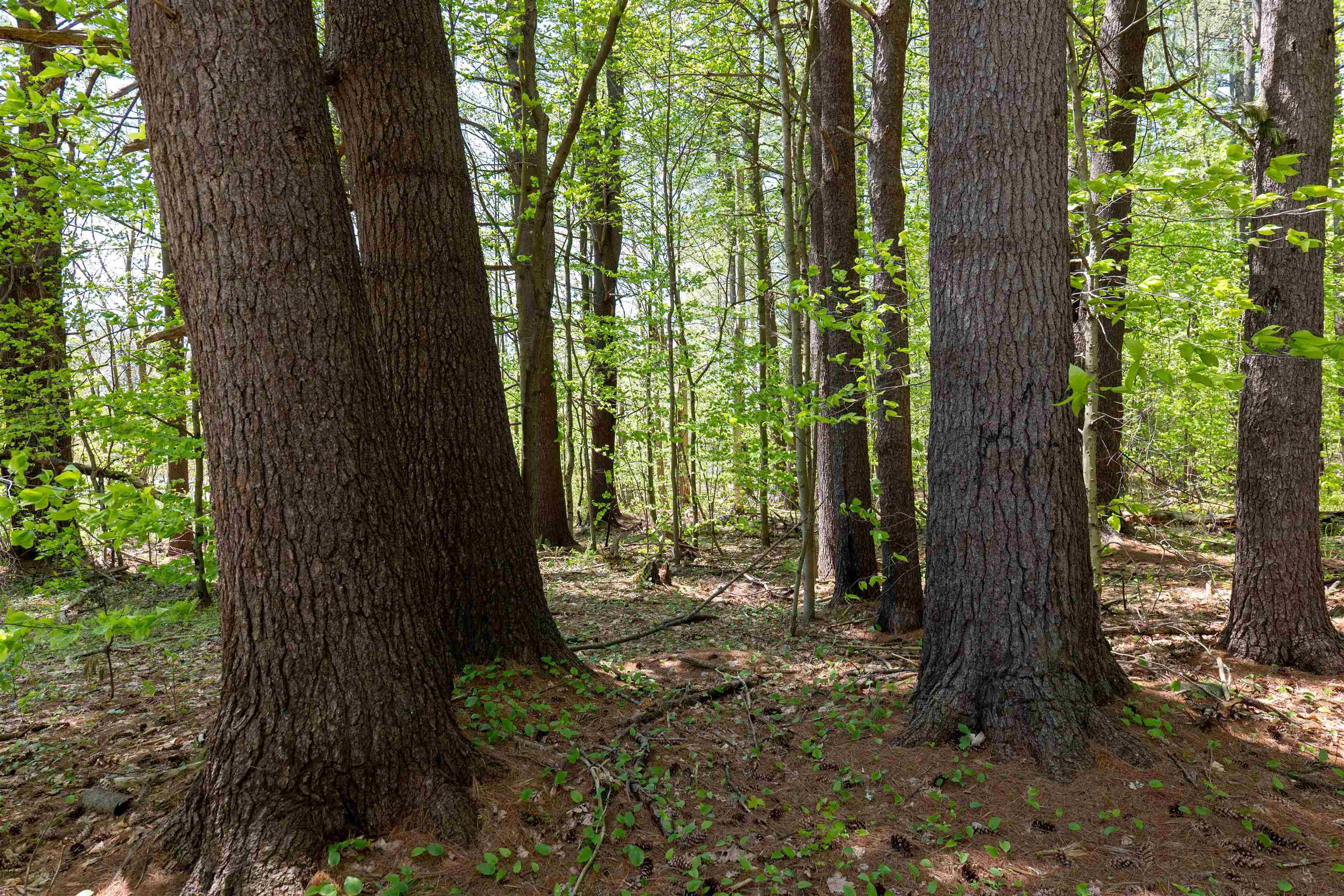 Rowell Drive Franklin, NH 03235 - Photo 5 of 26