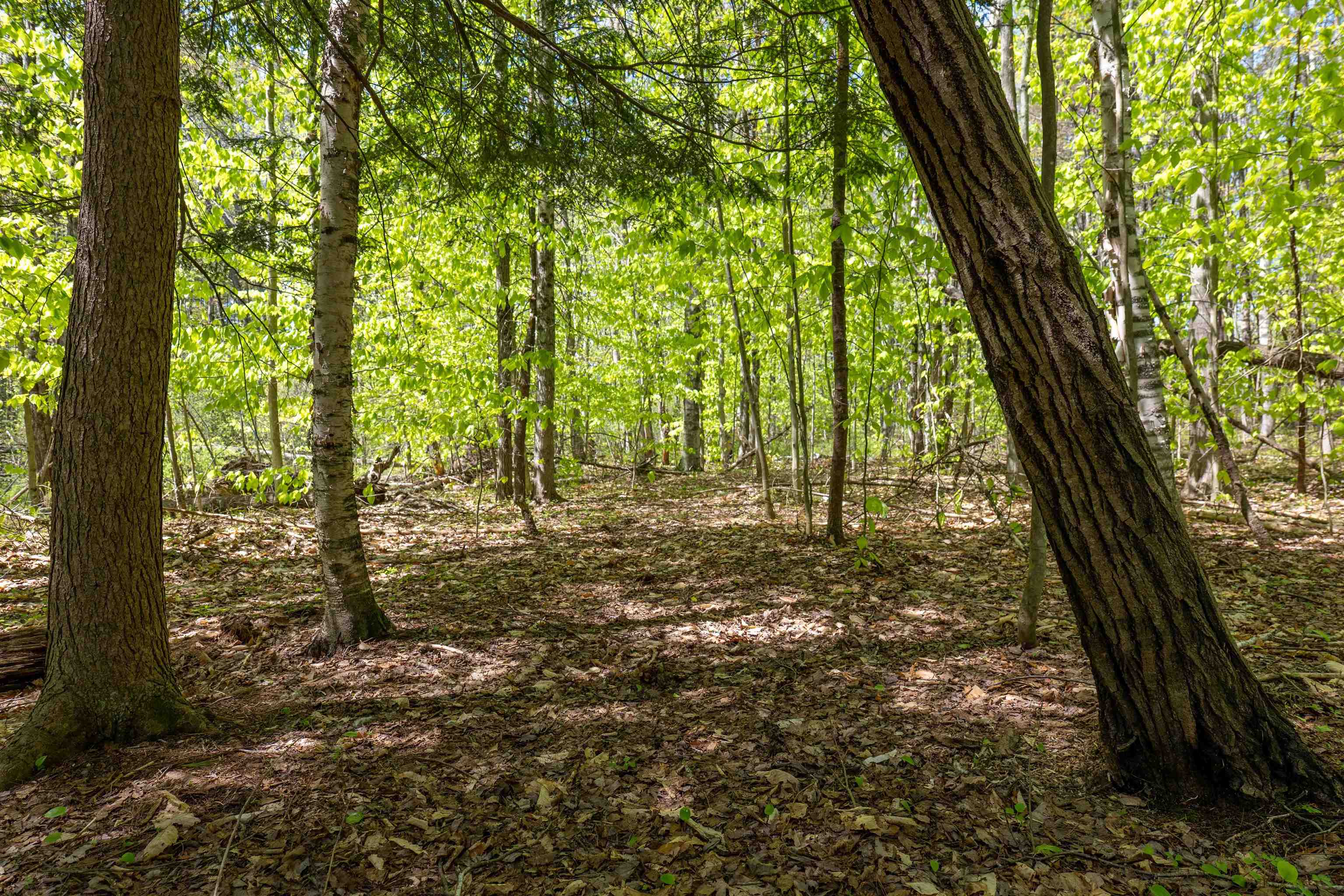 Rowell Drive Franklin, NH 03235 - Photo 6 of 26