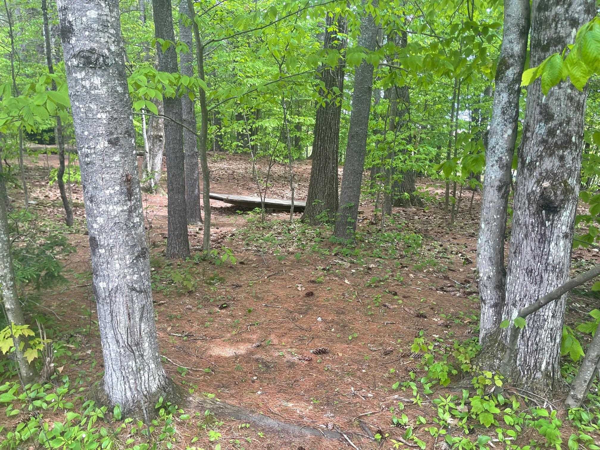 Rowell Drive Franklin, NH 03235 - Photo 7 of 26