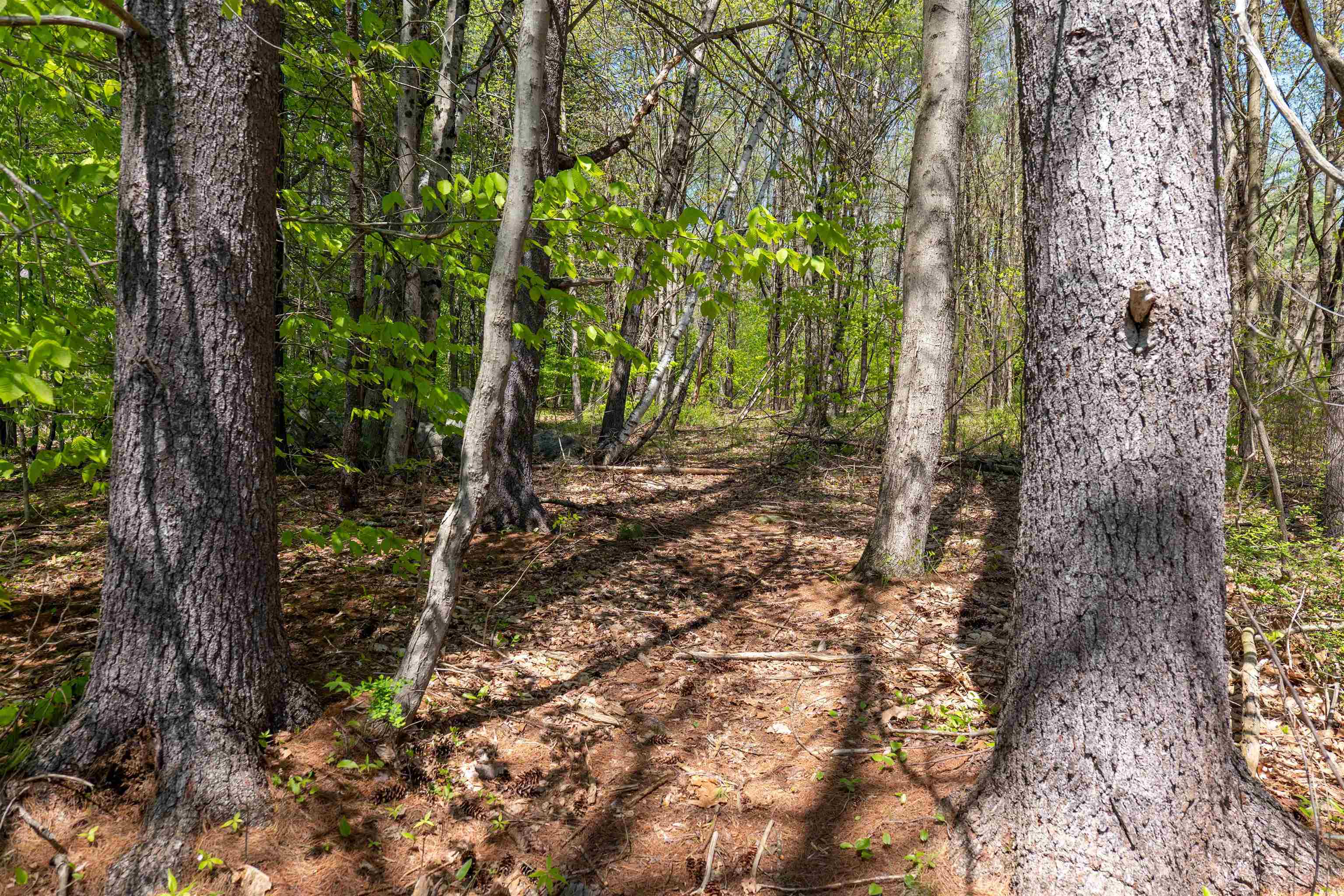 Rowell Drive Franklin, NH 03235 - Photo 8 of 26