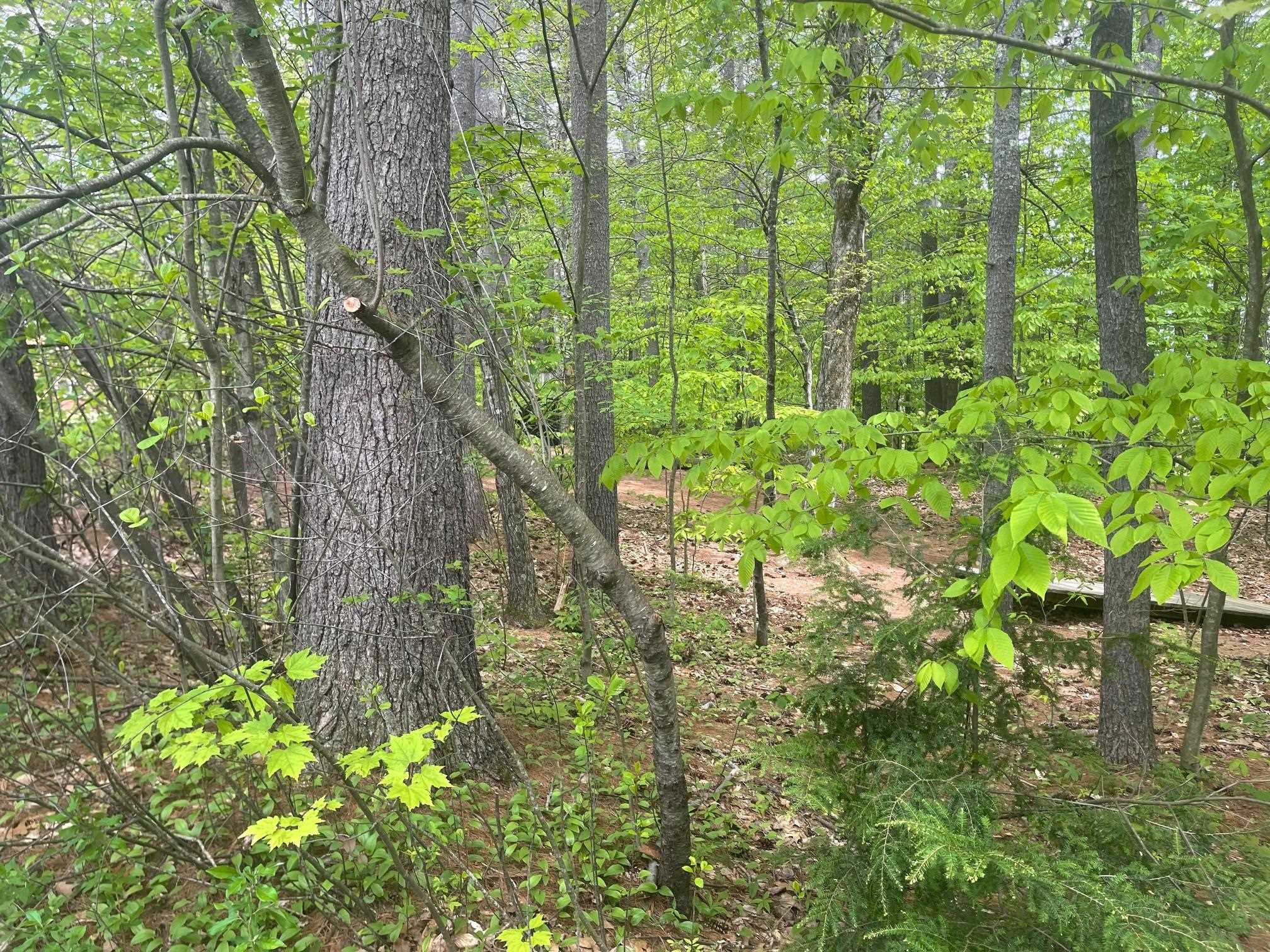 Rowell Drive Franklin, NH 03235 - Photo 9 of 26