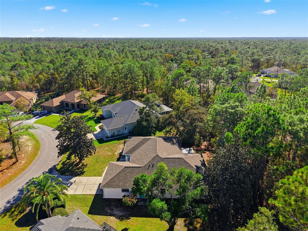 16 Nephthytis Court Homosassa, FL 34446 - Photo 40 of 45 an aerial view of residential houses with outdoor space
