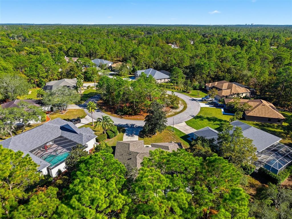 16 Nephthytis Court Homosassa, FL 34446 - Photo 41 of 45 an aerial view of multiple house