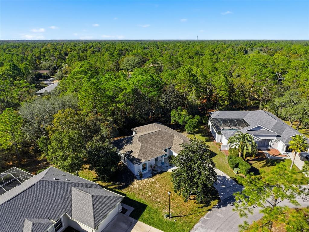 16 Nephthytis Court Homosassa, FL 34446 - Photo 45 of 45 an aerial view of a house with a yard