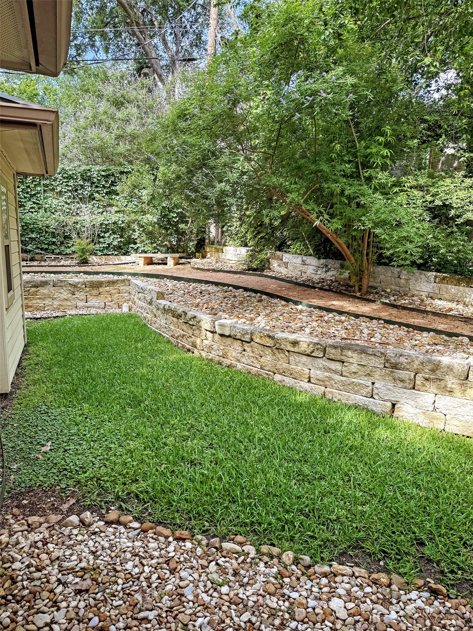 14 Scott Crescent Austin, TX 78703 - Photo 2 of 6 a view of yard with green space
