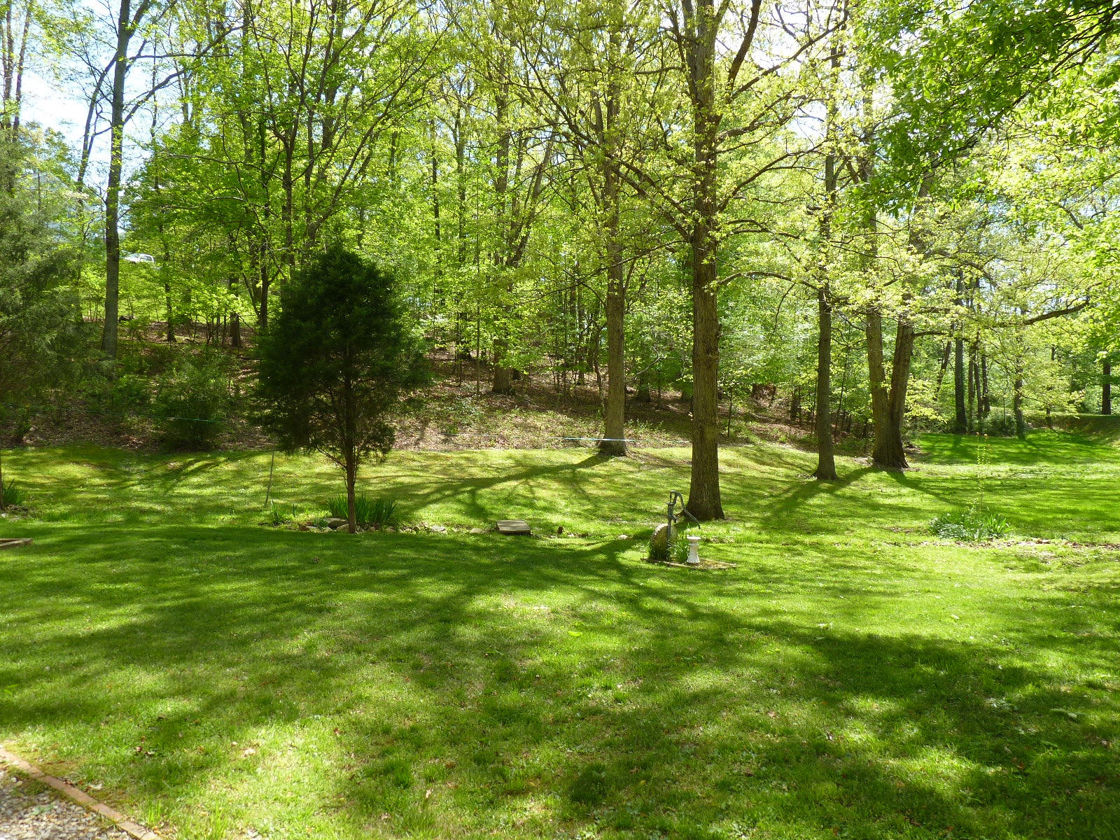 471 Pin Oak Drive Blue Ridge, VA 24064 - Photo 17 of 18 a backyard of a house with lots of green space