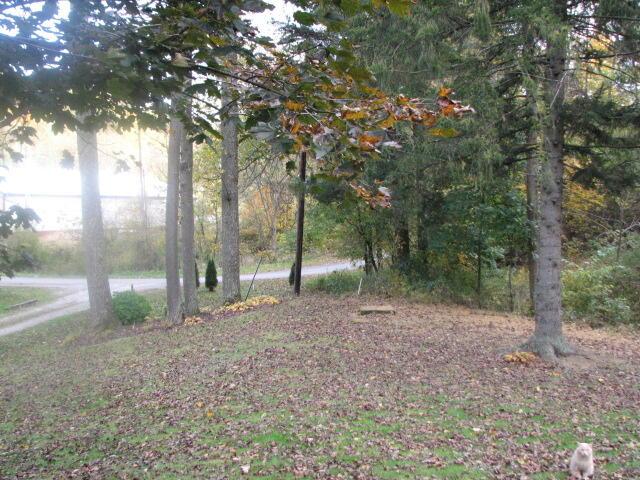 4165 Alten Road Sugar Grove, OH 43155 - Photo 71 of 78 IMG_4730