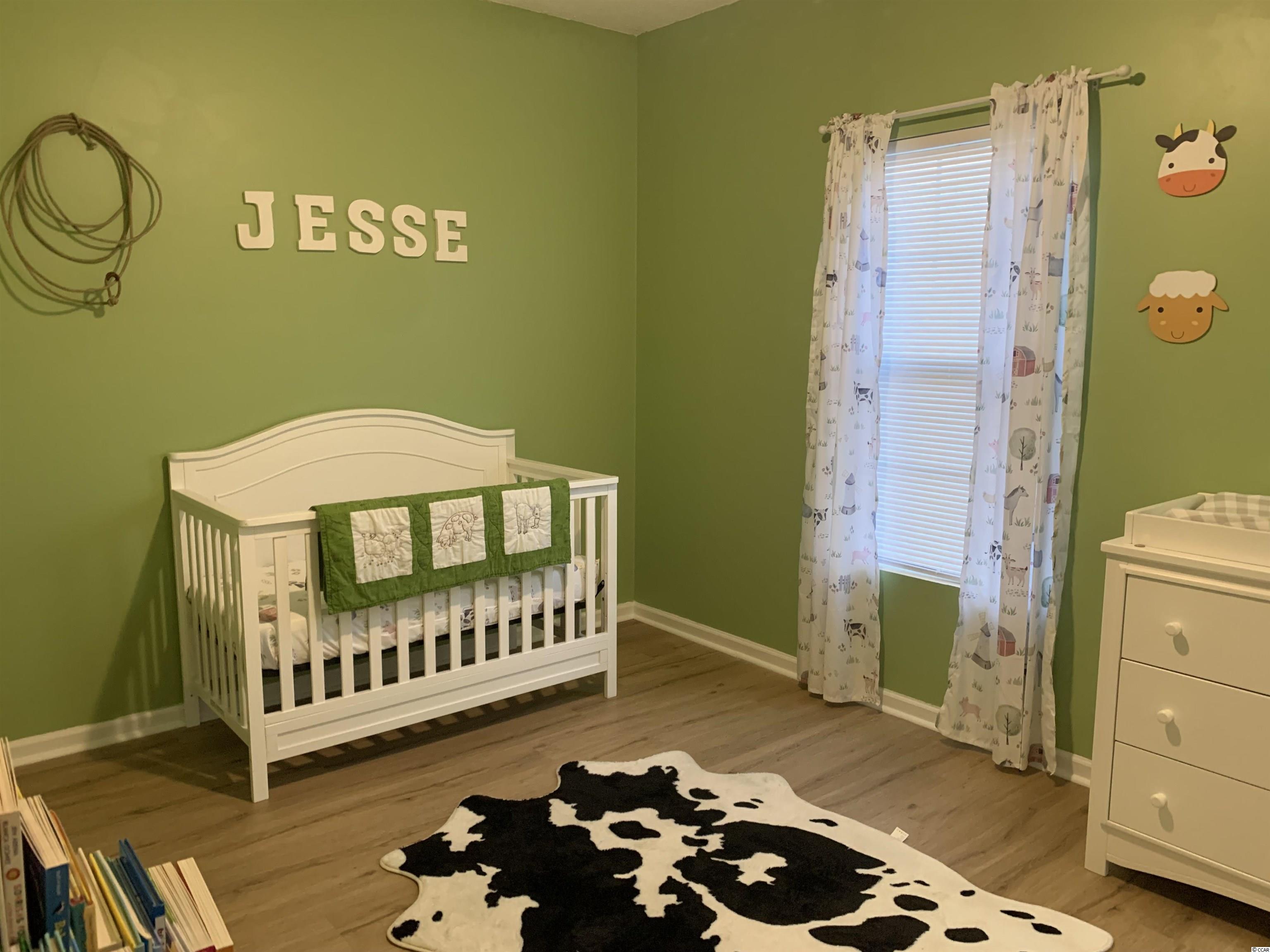 487 Hallie Martin Road Conway, SC 29527 - Photo 10 of 16 Gallery Image 10