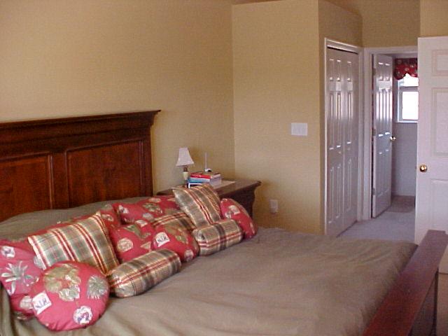 1762 Meadows Road Vinton, VA 24179 - Photo 11 of 12 a bedroom with a bed and a closet