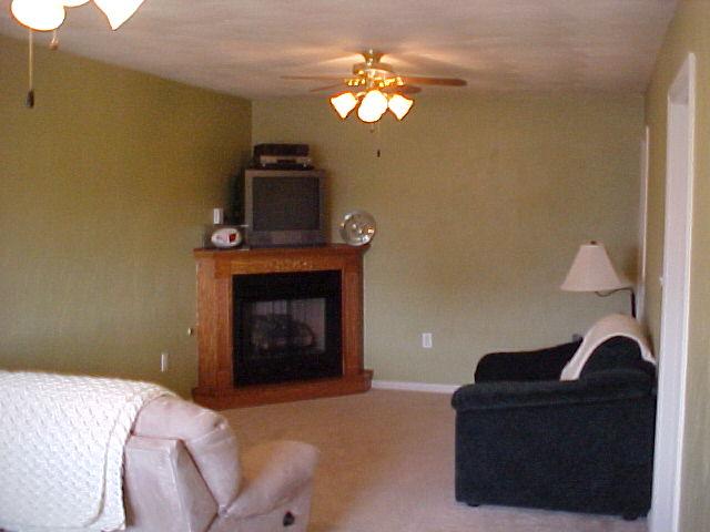1762 Meadows Road Vinton, VA 24179 - Photo 12 of 12 a living room with furniture and a fireplace