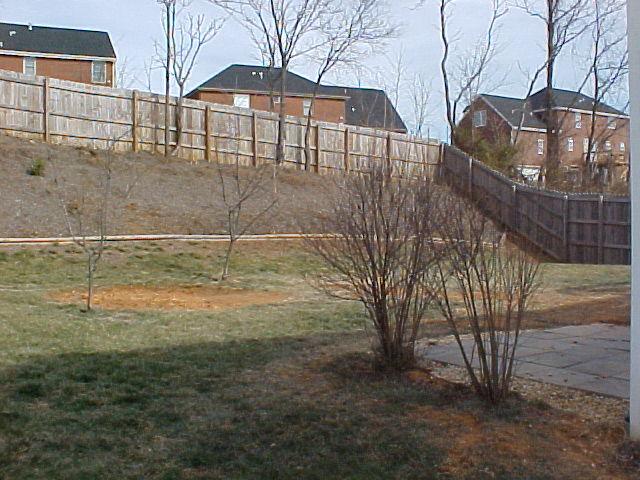 1762 Meadows Road Vinton, VA 24179 - Photo 3 of 12 a view of a backyard of the house