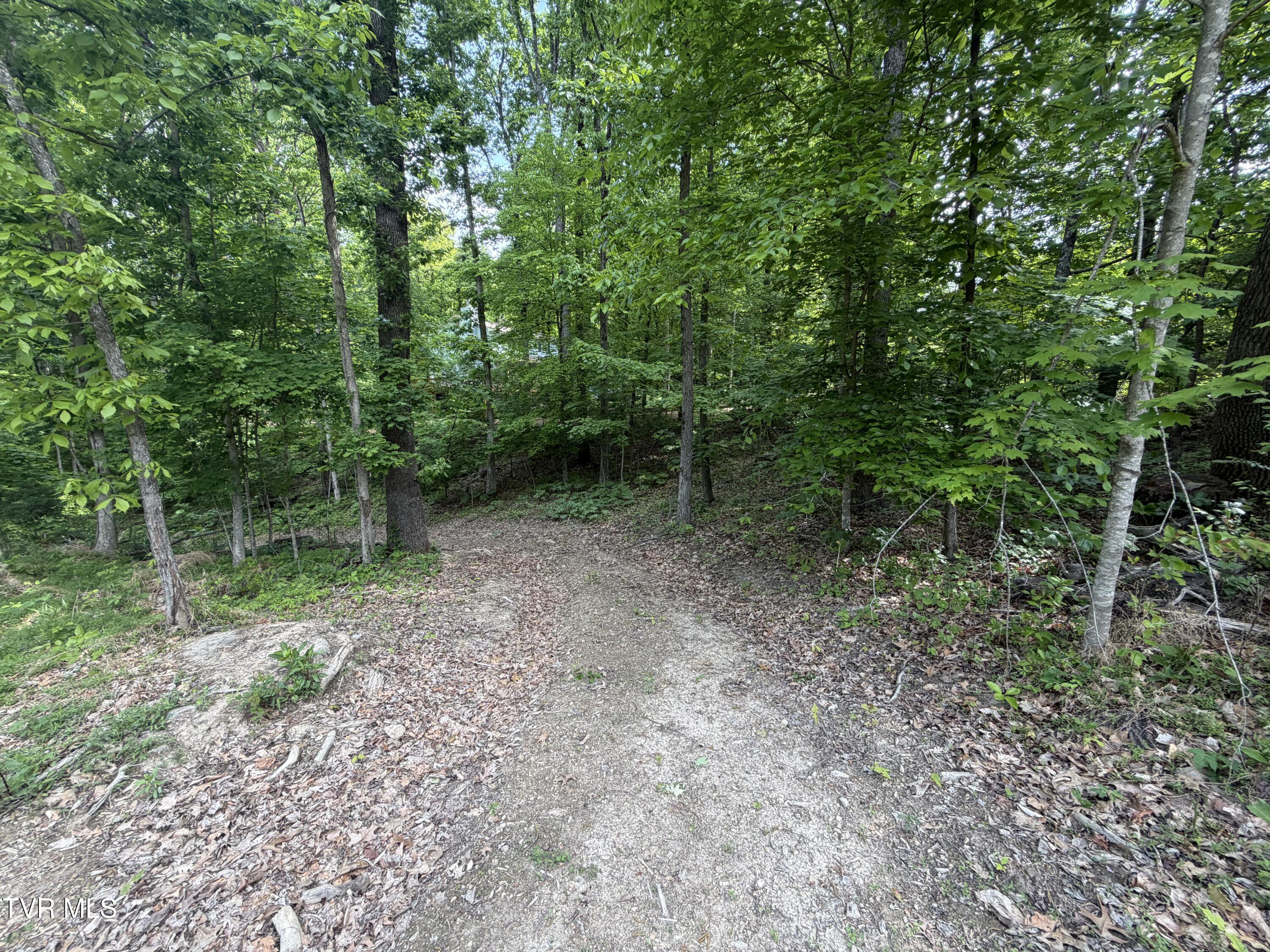 955 Old Hall Road, Unit 1 Chuckey, TN 37641 - Photo 6 of 31 IMG_4933