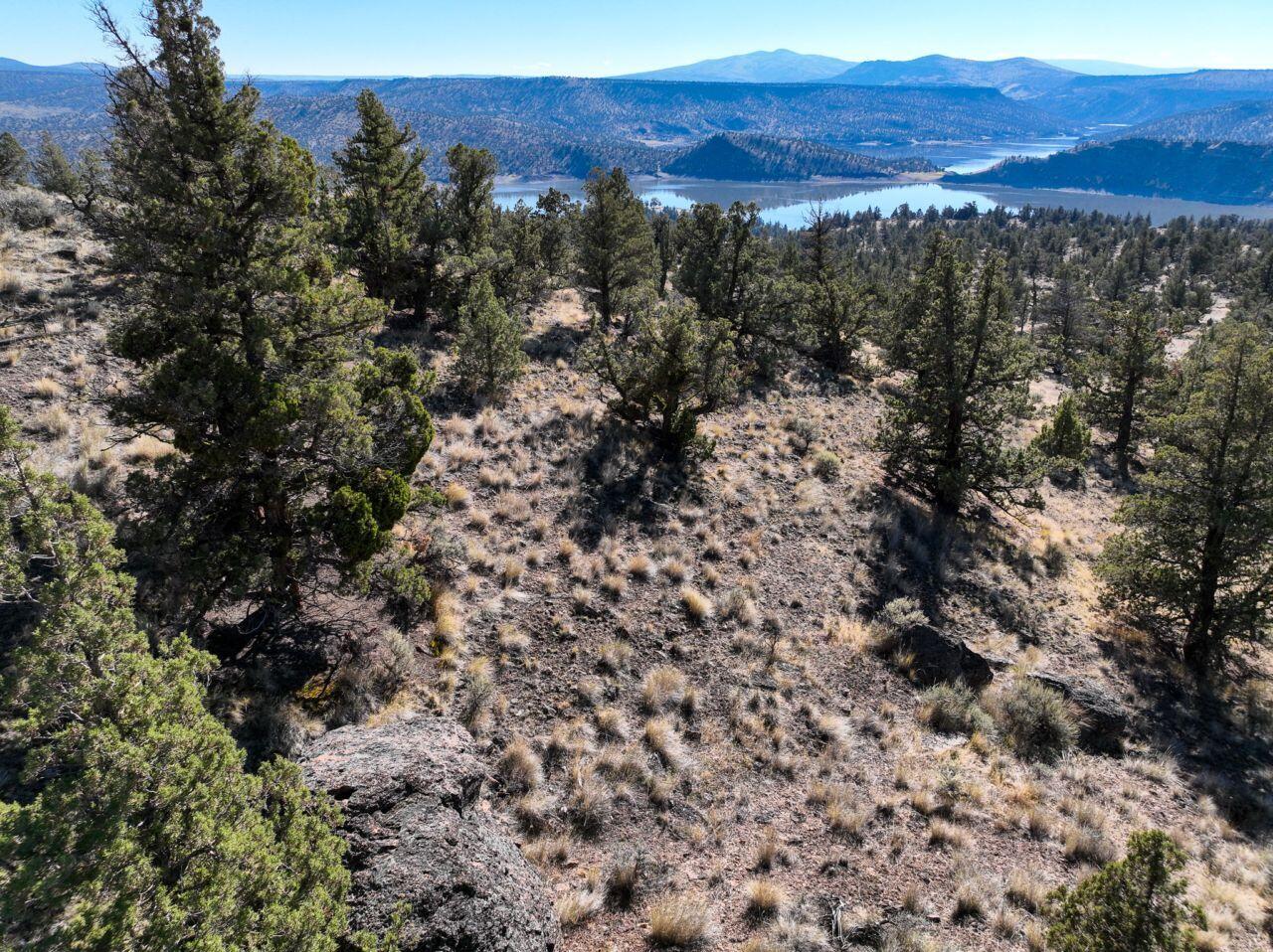 10081 Pavati Road, Unit LOT 35 Prineville, OR 97754 - Photo 20 of 23 photos_web_resolution_DJI_0985