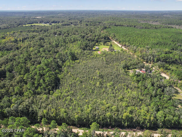 0 St Mary Road Caryville, FL 32427 - Photo 2 of 9