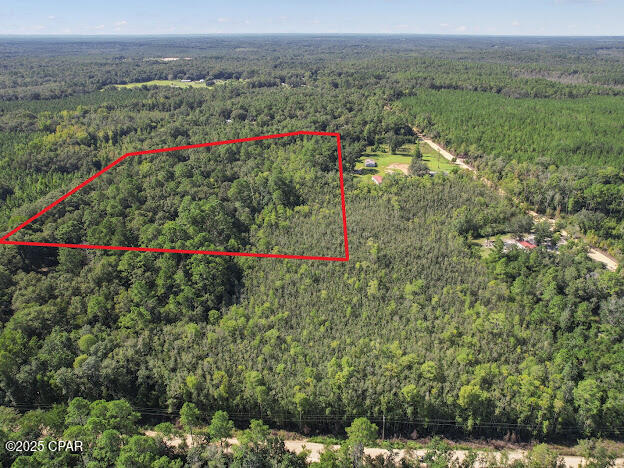 0 St Mary Road Caryville, FL 32427 - Photo 3 of 9