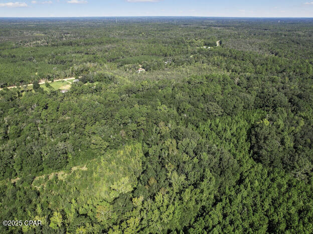 0 St Mary Road Caryville, FL 32427 - Photo 5 of 9