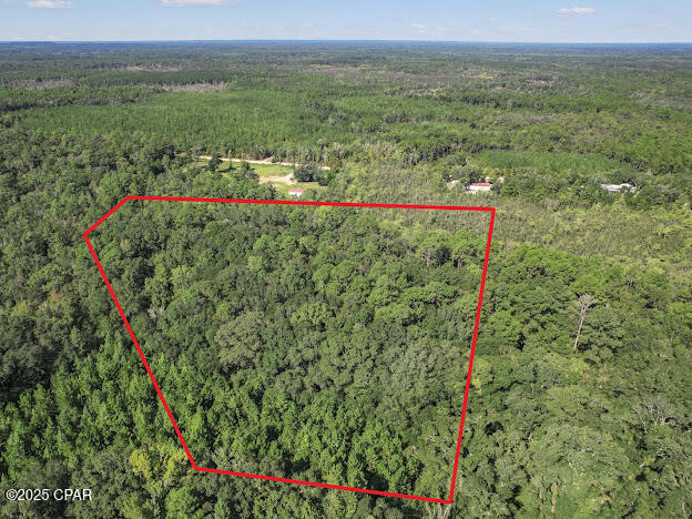 0 St Mary Road Caryville, FL 32427 - Photo 6 of 9