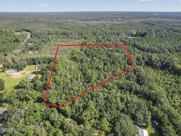 0 St Mary Road Caryville, FL 32427 - Photo 7 of 9