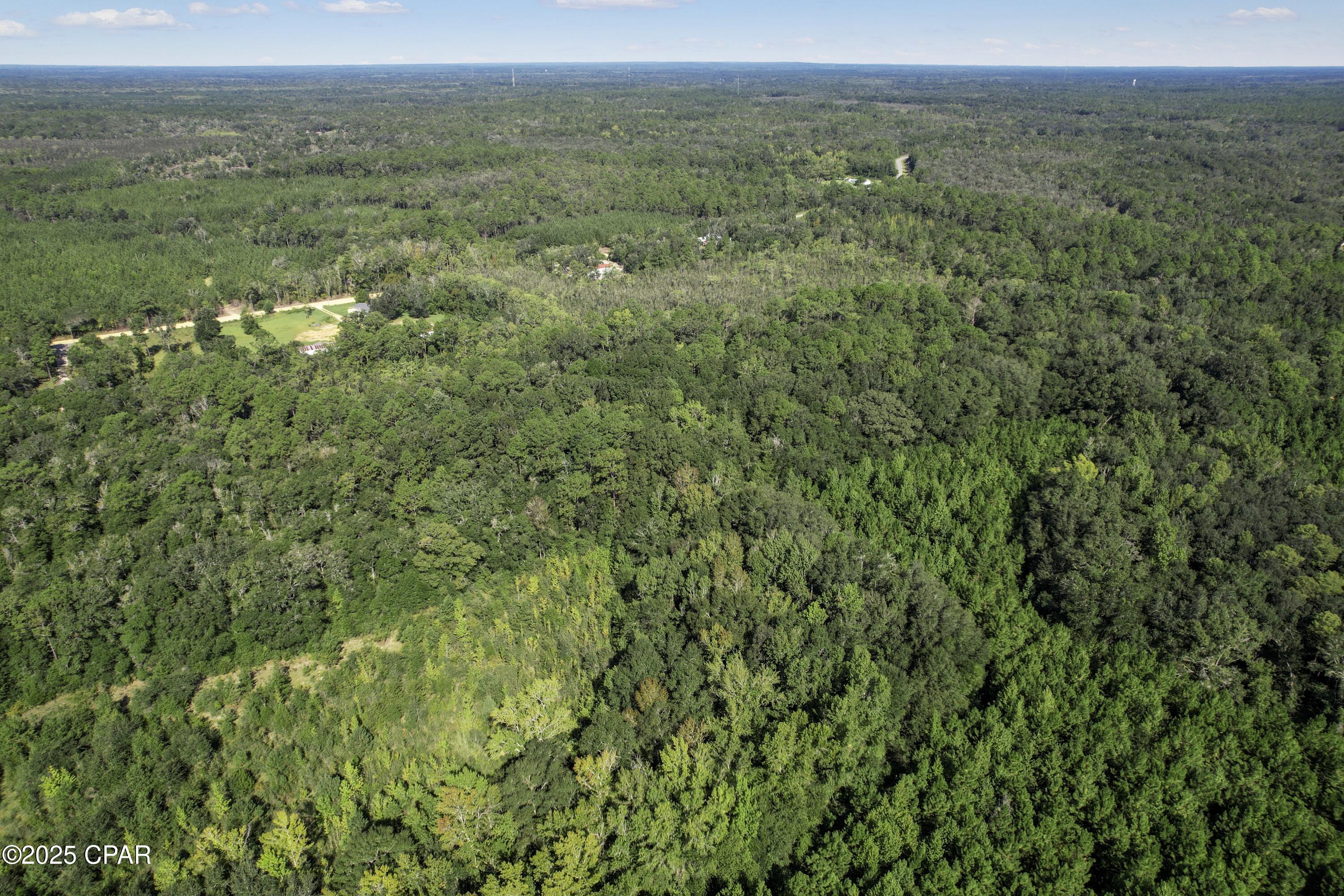 0 St Mary Road Caryville, FL 32427 - Photo 8 of 9