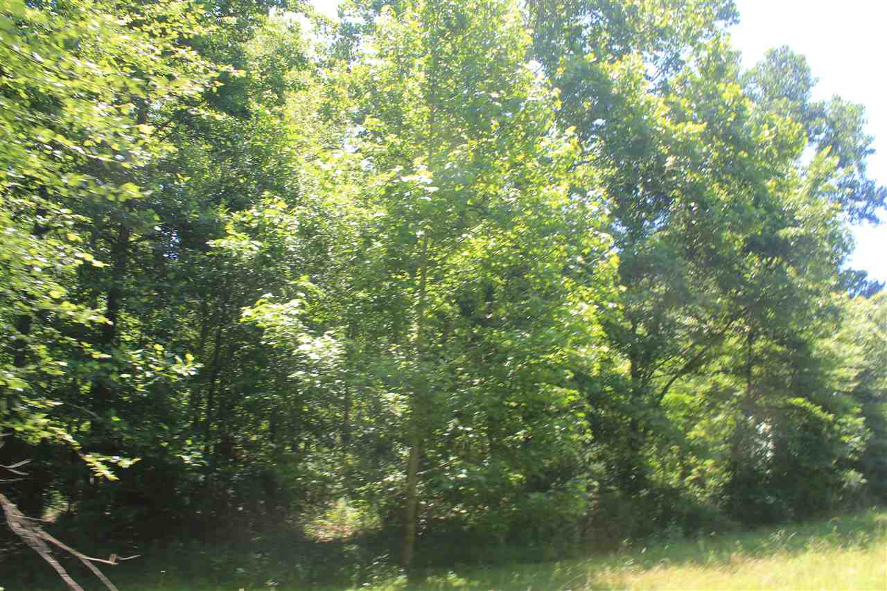 125 Moore Road Red Banks, MS 38661 - Photo 13 of 25 Gallery Image 13