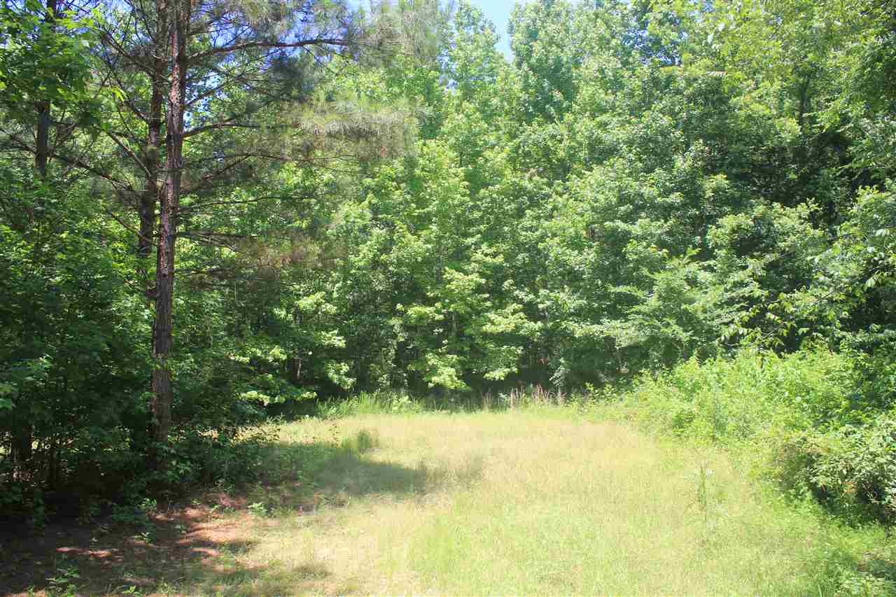 125 Moore Road Red Banks, MS 38661 - Photo 15 of 25 Gallery Image 15