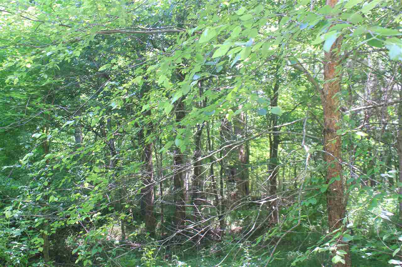 125 Moore Road Red Banks, MS 38661 - Photo 17 of 25 Gallery Image 17