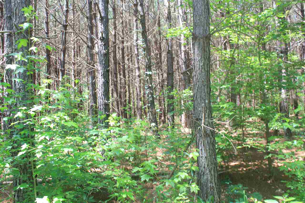 125 Moore Road Red Banks, MS 38661 - Photo 18 of 25 Gallery Image 18