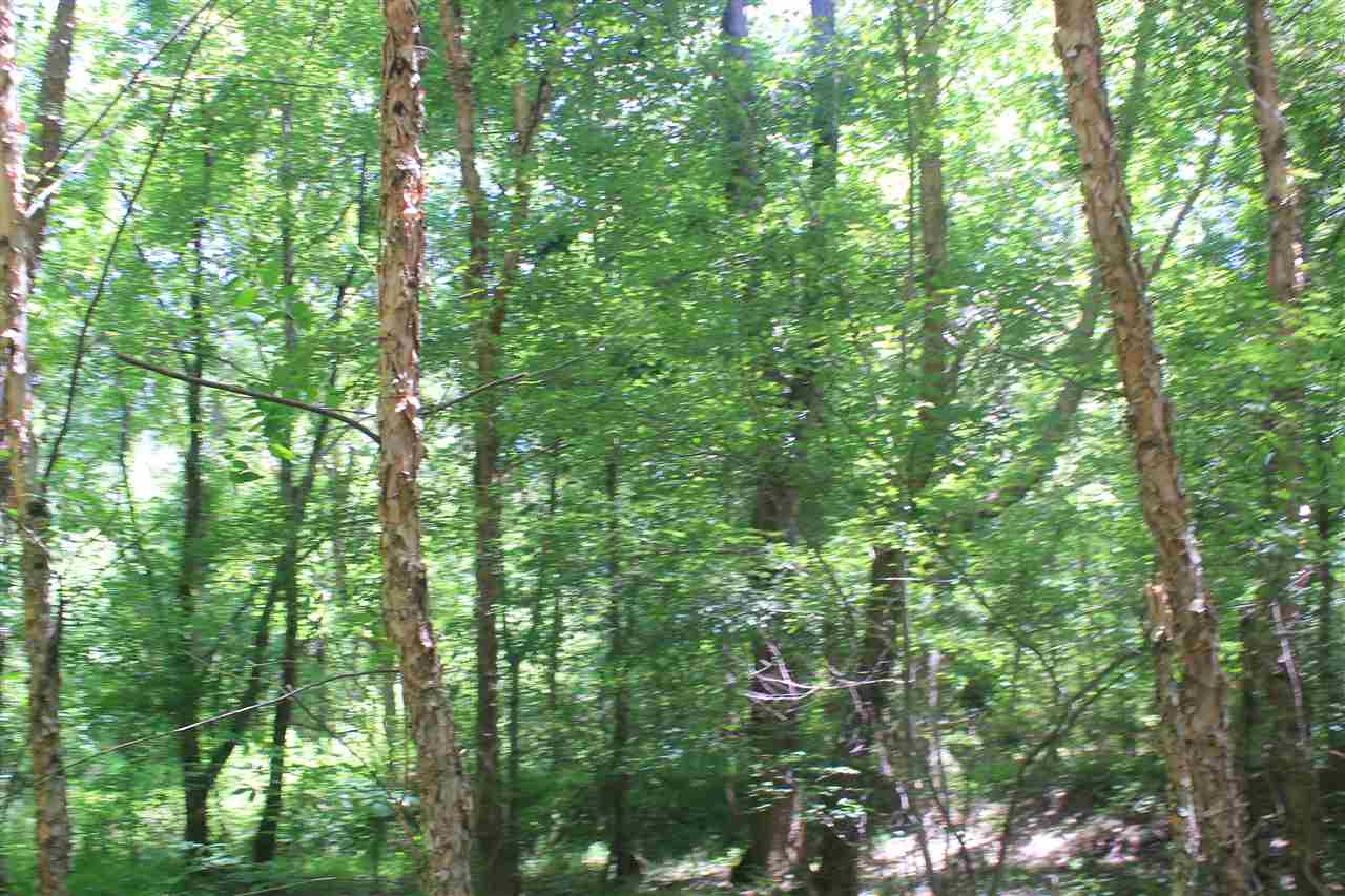 125 Moore Road Red Banks, MS 38661 - Photo 19 of 25 Gallery Image 19