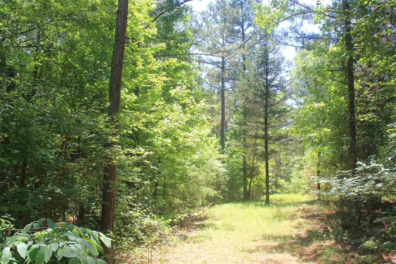 125 Moore Road Red Banks, MS 38661 - Photo 24 of 25 Gallery Image 24