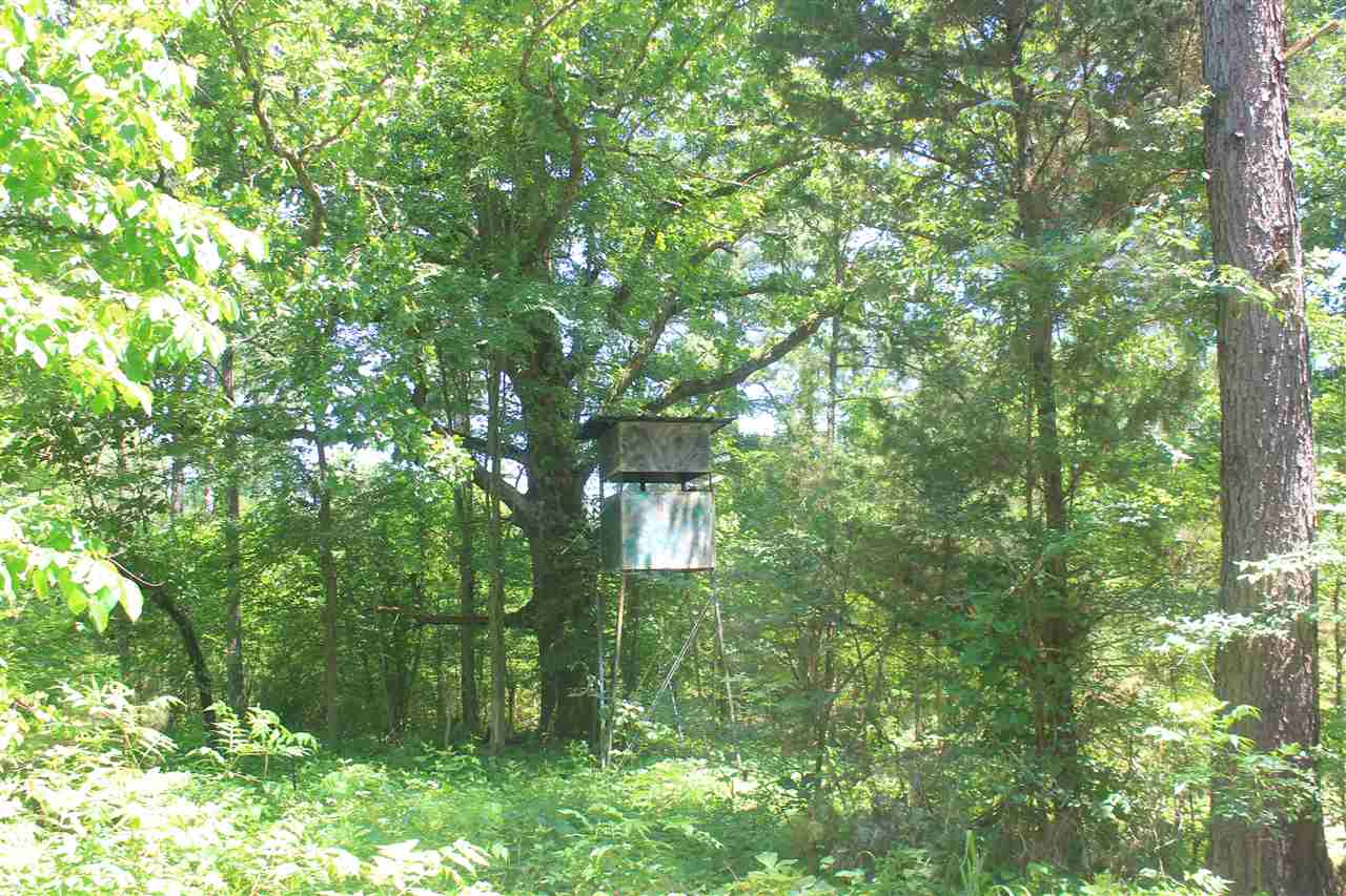 125 Moore Road Red Banks, MS 38661 - Photo 25 of 25 Gallery Image 25