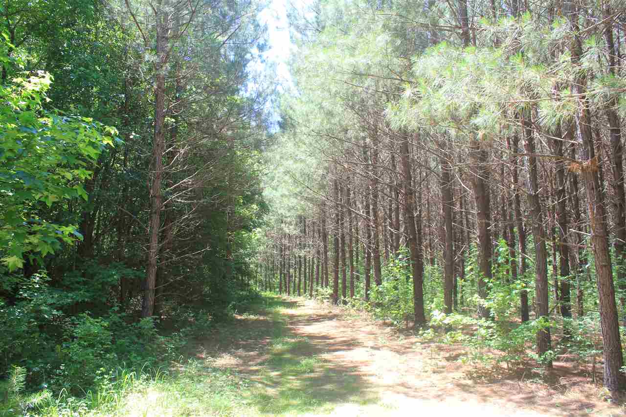 125 Moore Road Red Banks, MS 38661 - Photo 6 of 25 Gallery Image 6