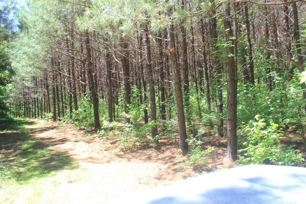 125 Moore Road Red Banks, MS 38661 - Photo 7 of 25 Gallery Image 7