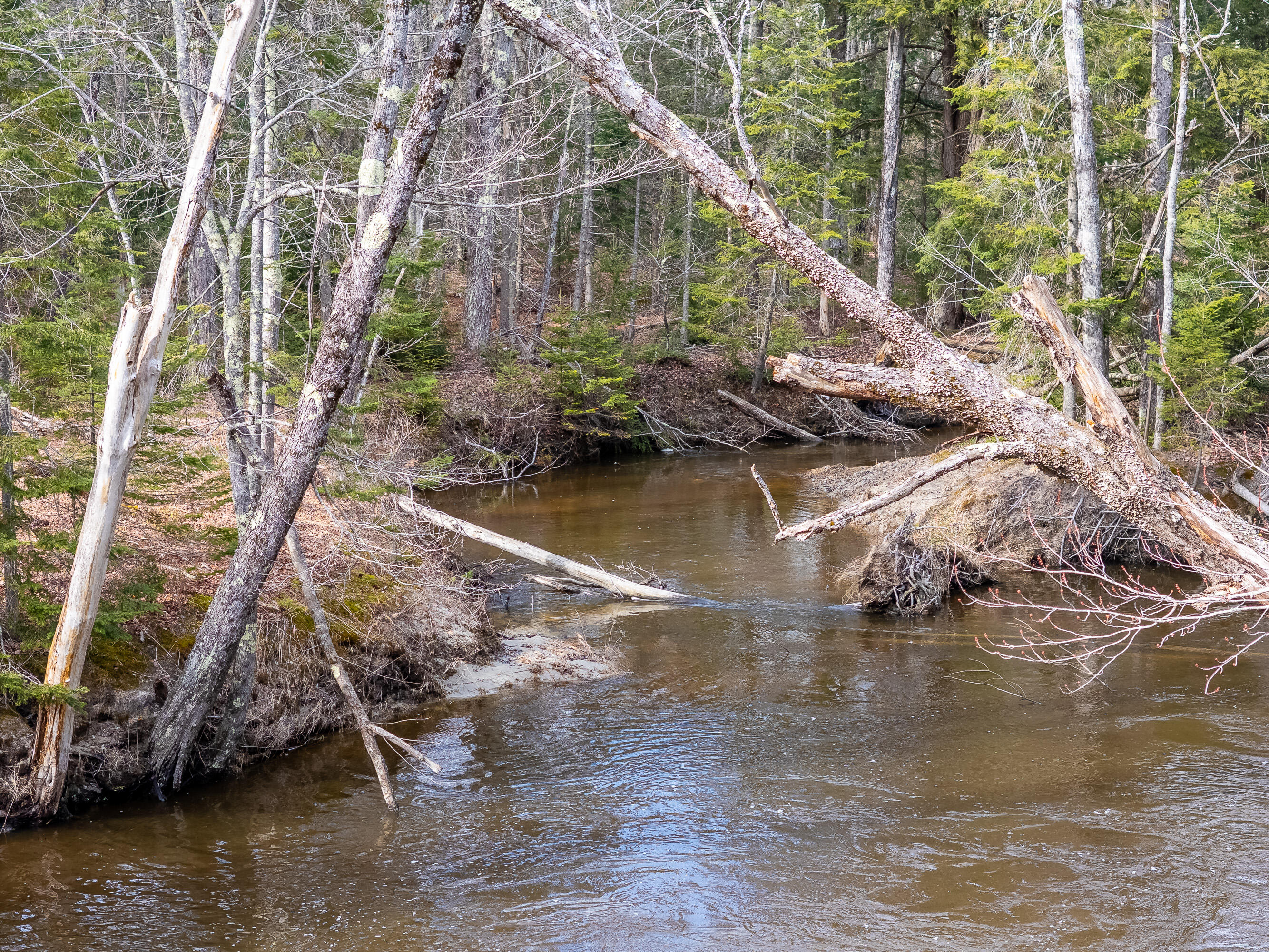 6-114 Old Brunswick Road Durham, ME 04222 - Photo 15 of 27 Lot 006-114_118