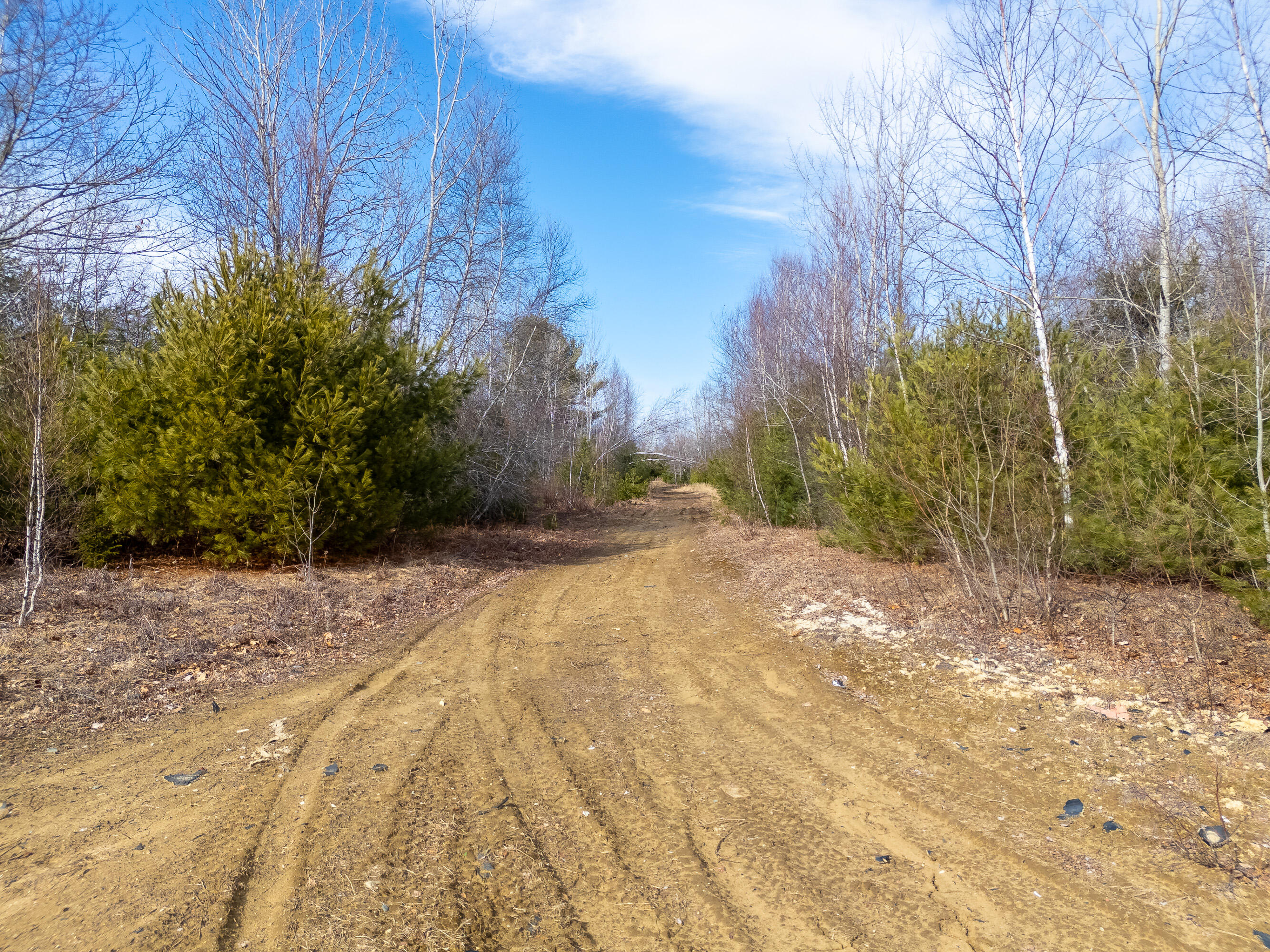 6-114 Old Brunswick Road Durham, ME 04222 - Photo 5 of 15 Lot 006-114_105
