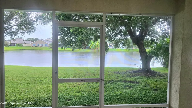 a view of a trees in a yard