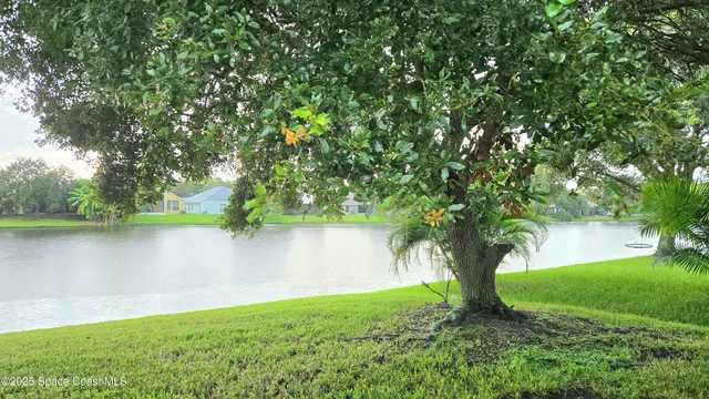 a view of a lake with a tree