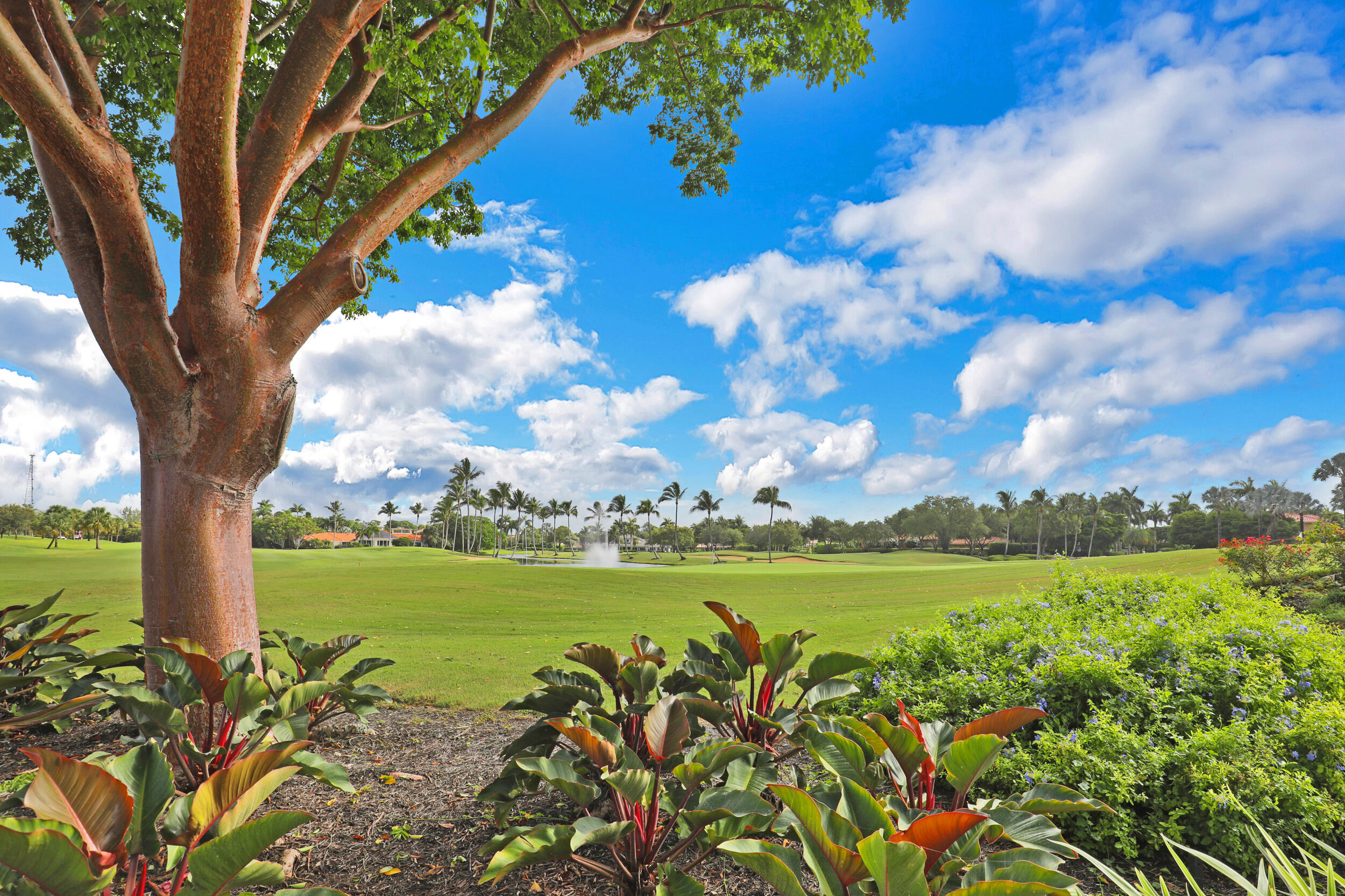 7156 Mandarin Drive Boca Raton, FL 33433 - Photo 66 of 70 21351 Whitaker Dr Boca Raton-print-004-0