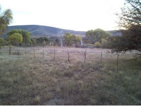 830 Grisby Road Skull Valley, AZ 86338 - Photo 6 of 10 Additional Photo