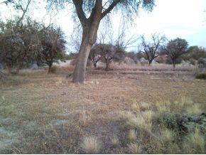 830 Grisby Road Skull Valley, AZ 86338 - Photo 8 of 10 Additional Photo