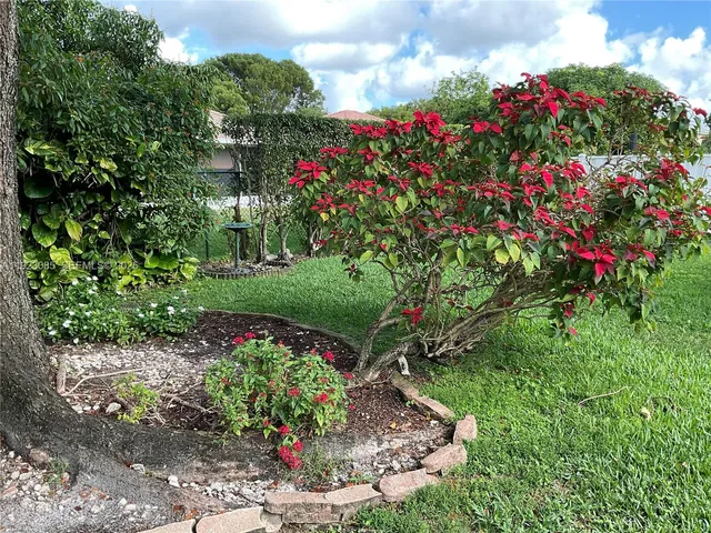 a view of a flower in a garden