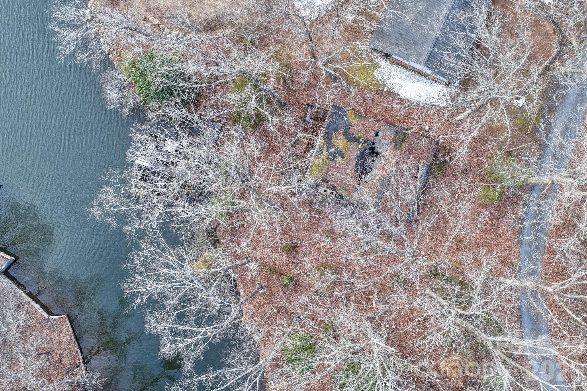 49611 Waterview Trail Albemarle, NC 28001 - Photo 3 of 22 a picture of a tree