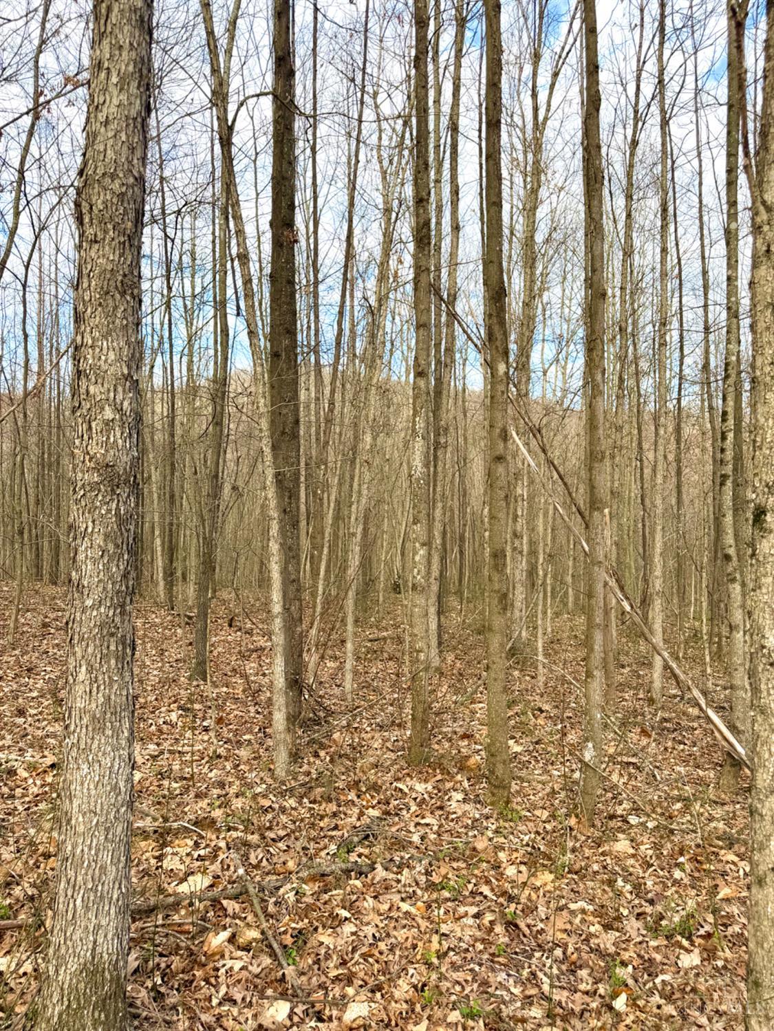 0 Fyffe Hollow Road Chillicothe, OH 45601 - Photo 86 of 96