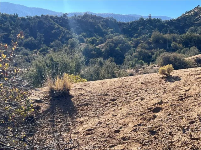 a view of a backyard of a house