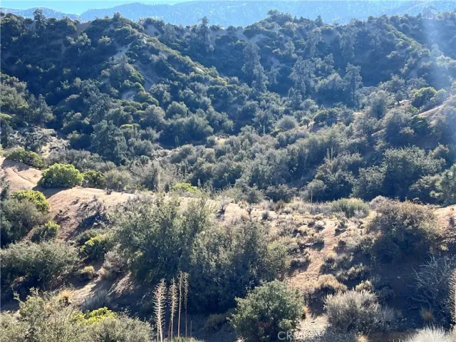 a view of a forest with mountains in the background