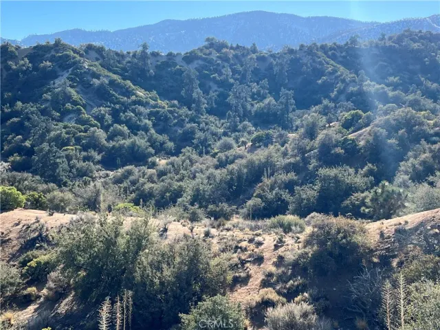 a view of a forest with mountains in the background