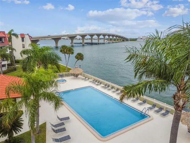 a view of a water with a palm tree