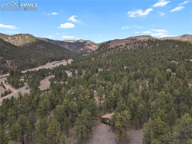 80 South Crystal Road Lake George, CO 80827 - Photo 45 of 48 corner of the property backing to National Park